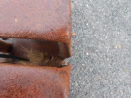 2-Schalengreifer Nr. 407