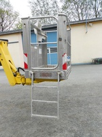 Teupen Leo 25 T plus